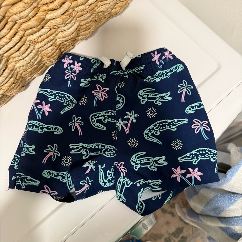 Chubbies Blue and Pink Tropical Print Swim Trunk Shorts